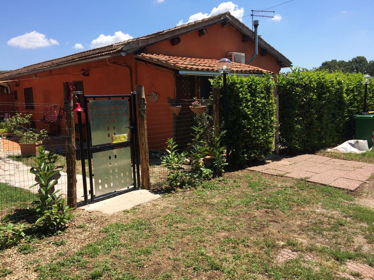 Bed and Breakfast Il Profeta Capranica Exterior foto